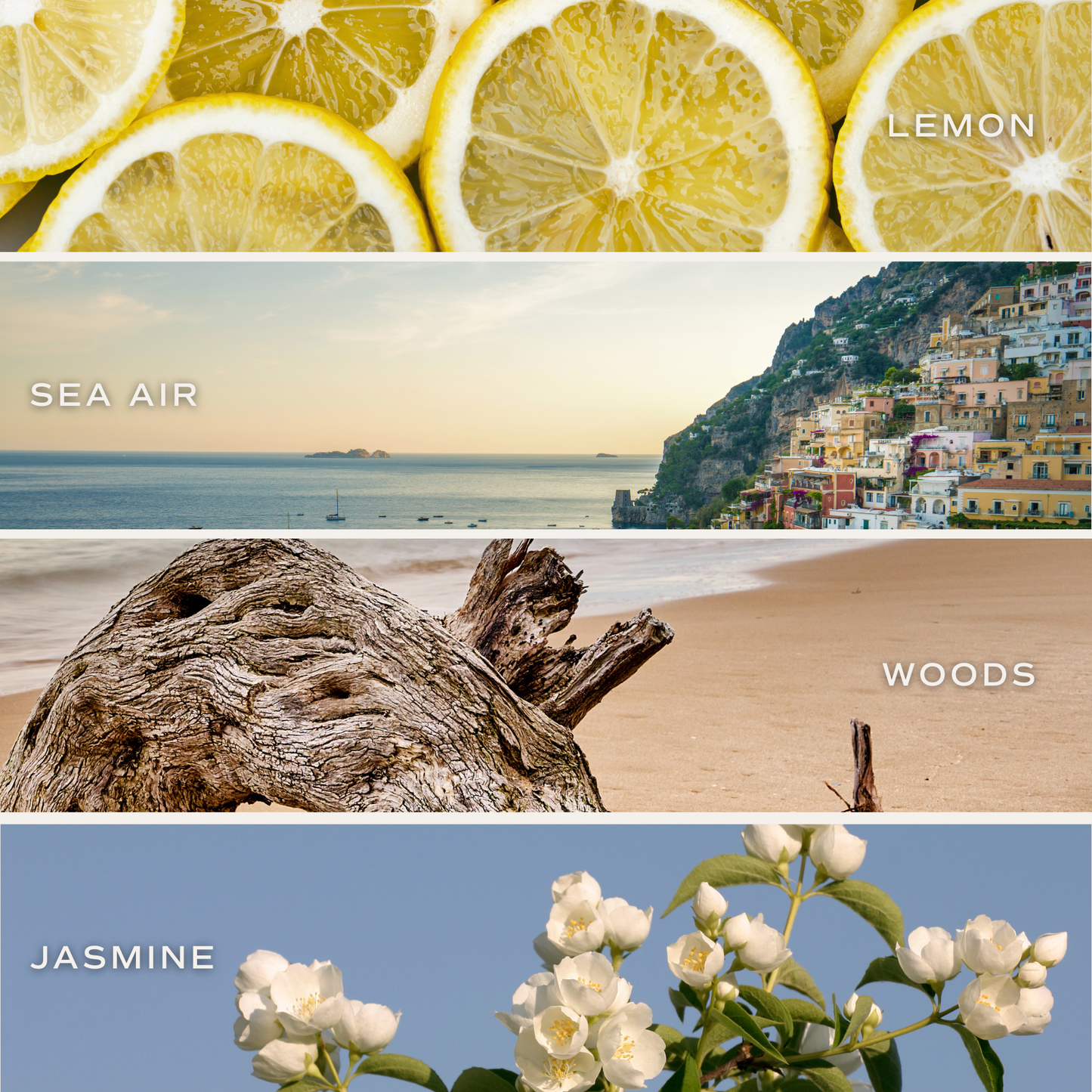 Coastal Lemon 9 oz Soy Candle - Home Decor & Gifts