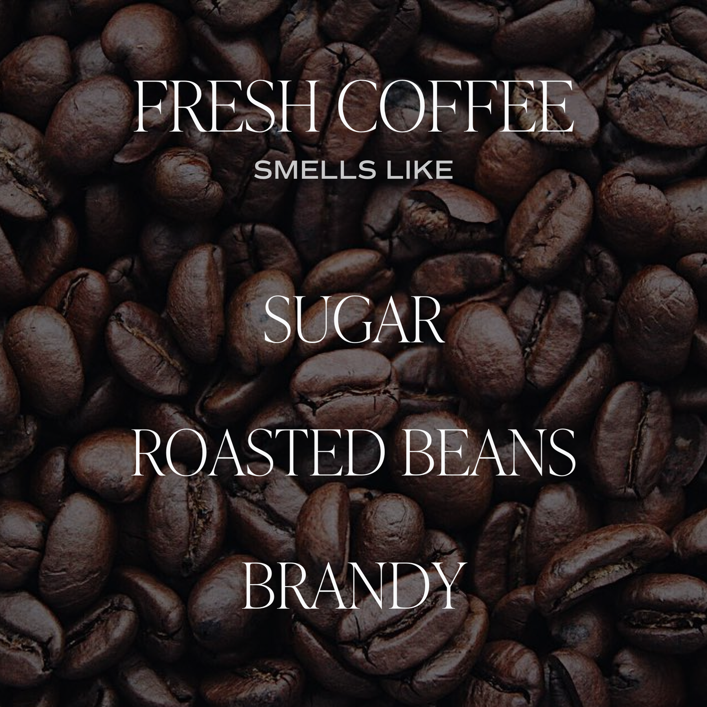 Fresh Coffee 11 pz Soy Candle - Home Decor & Gifts