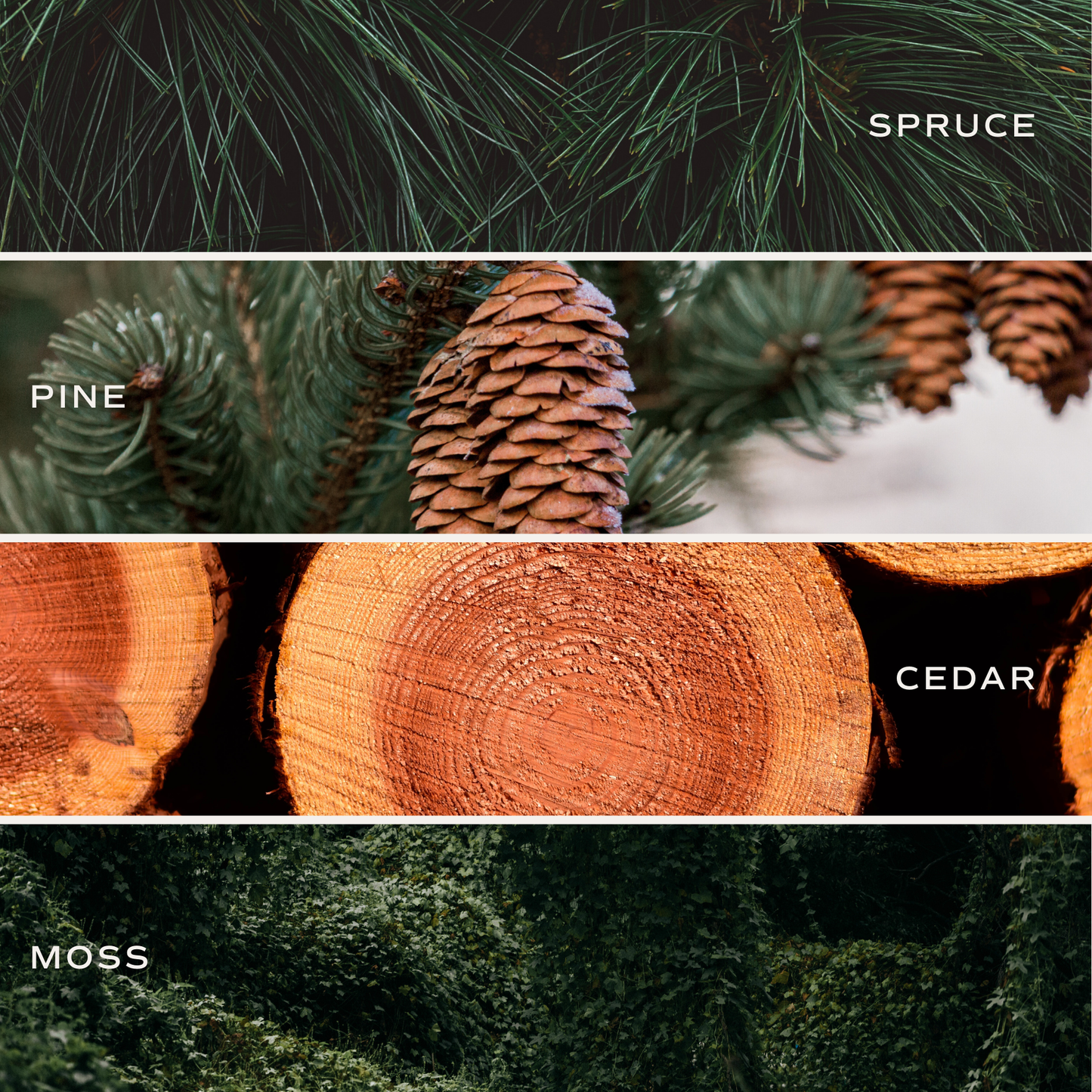 Christmas Tree 11 oz Soy Candle - Christmas Decor & Gifts