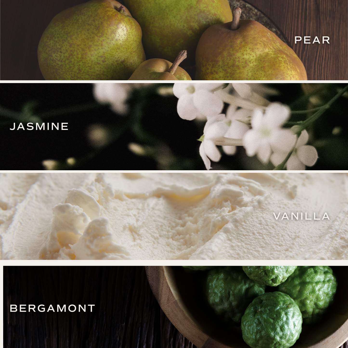 Cashmere and Vanilla 12 oz Candle - Home Decor & Gifts