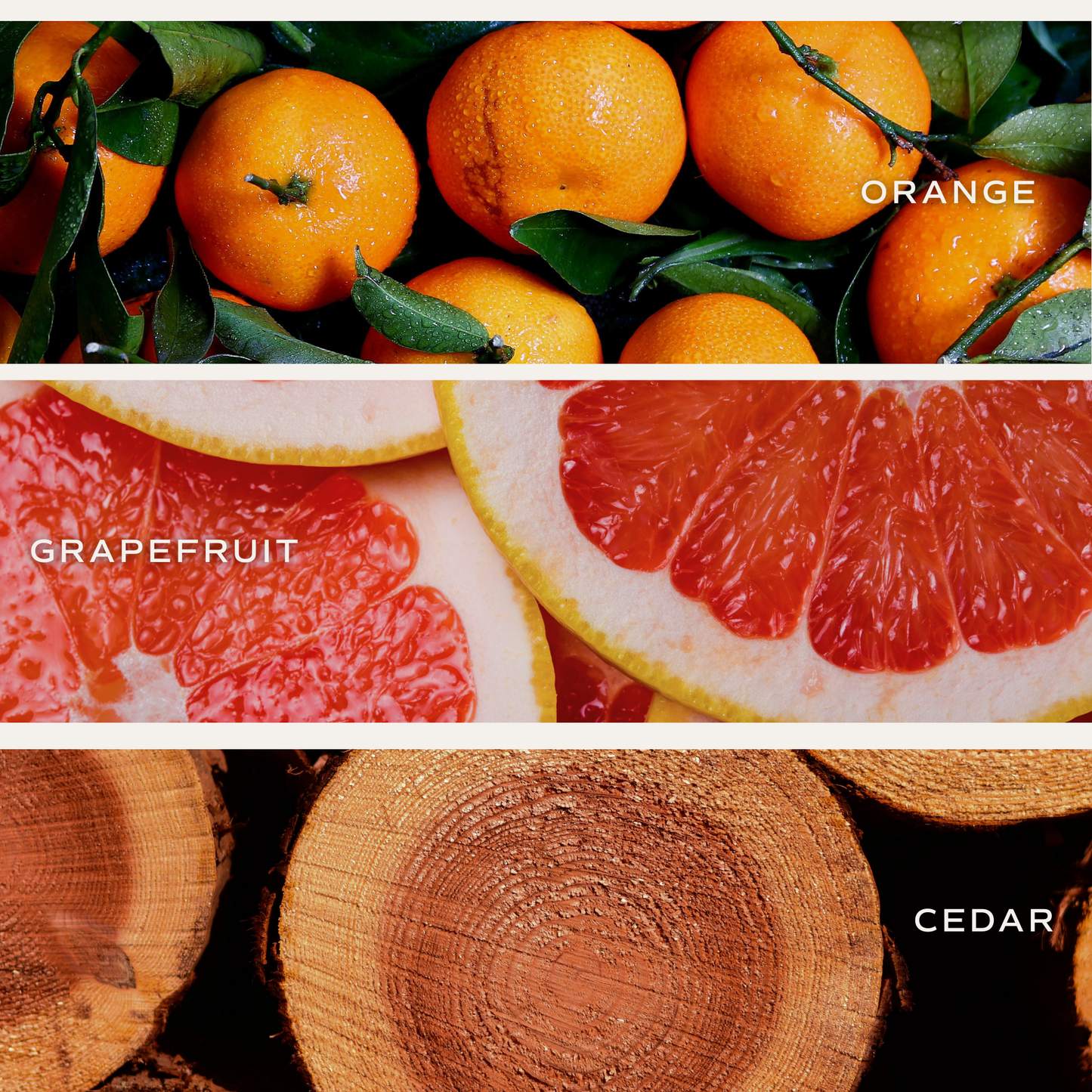 Pink Grapefruit 12 oz Candle - Home Decor & Gifts