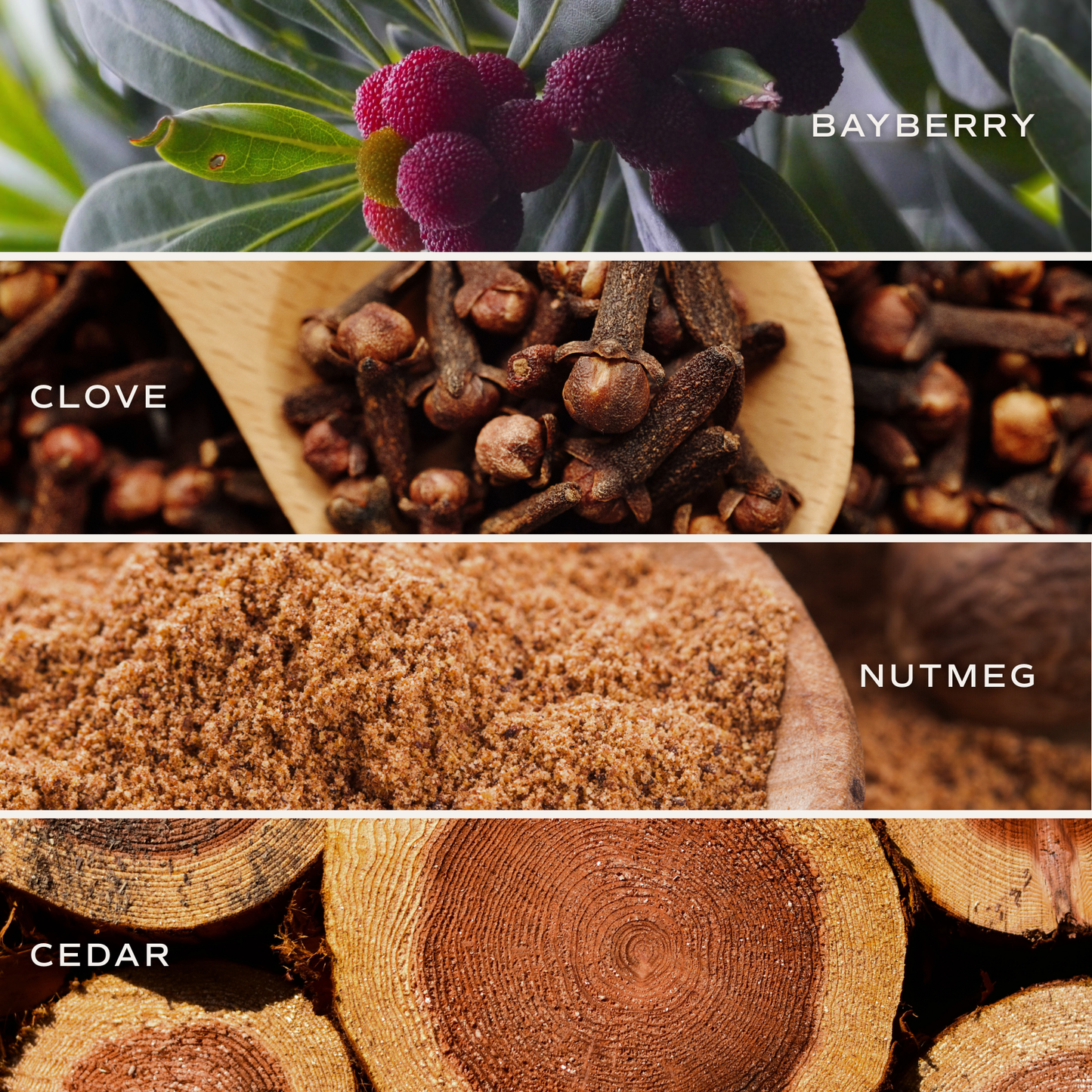 Merry and Bright 9 oz Soy Candle - Christmas Decor & Gifts