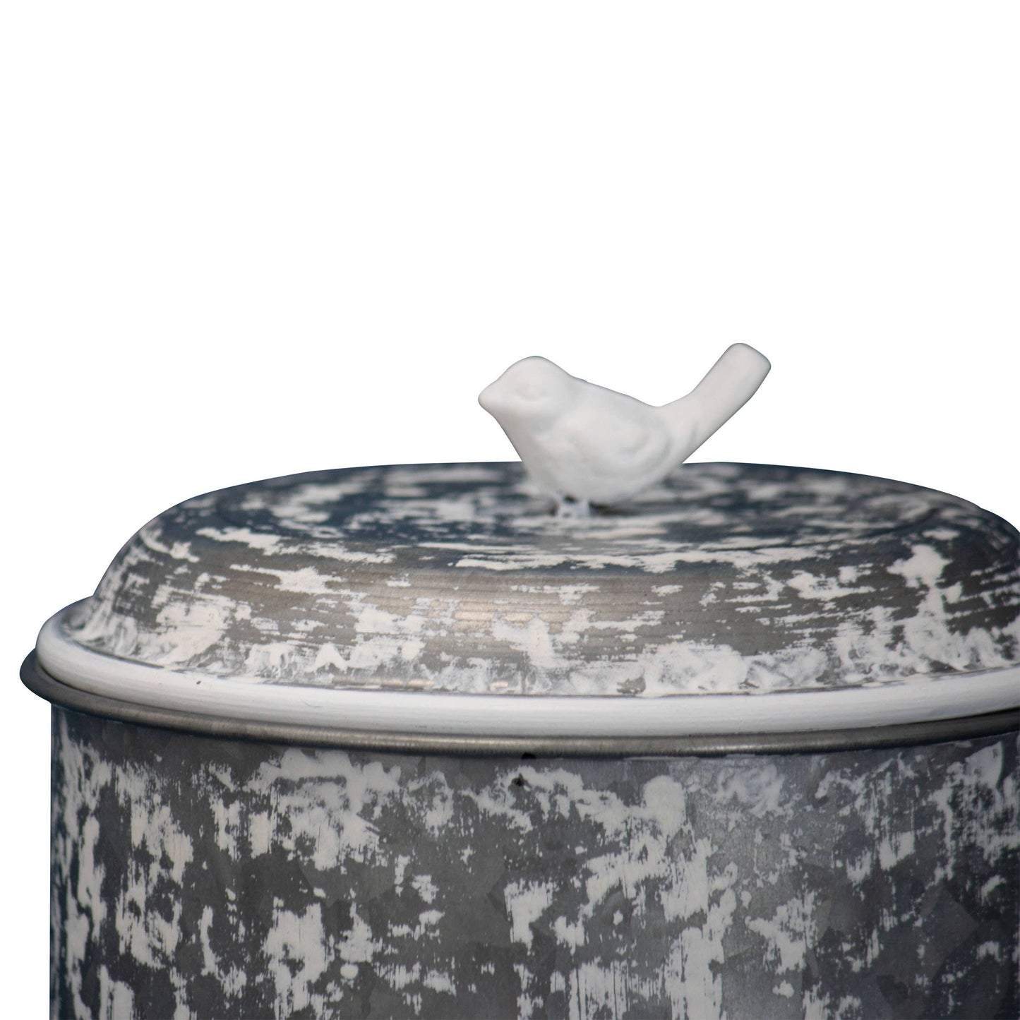 Bird Trinket Box