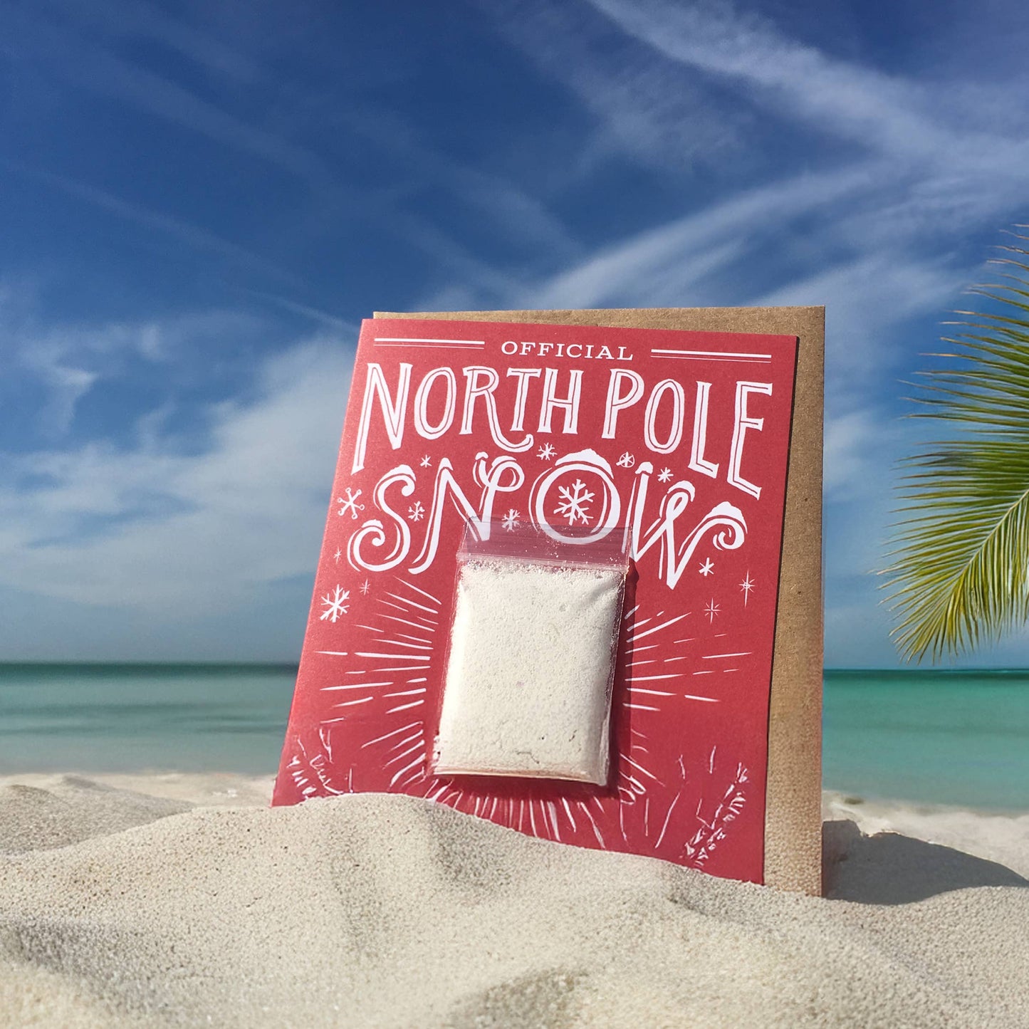Snow Card - Mail a Snowball (Red) - Holiday