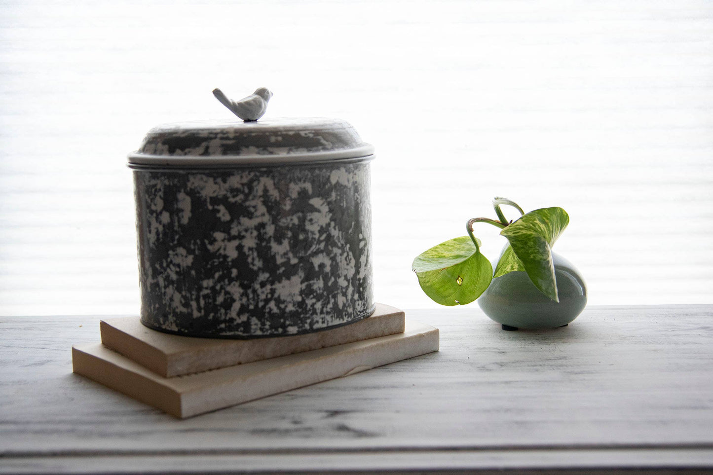 Bird Trinket Box